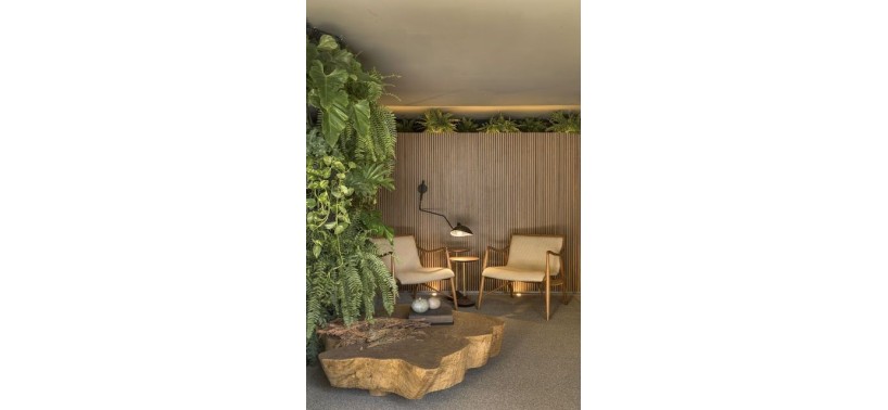 Diseño Biofílico en Hoteles: Más Allá de las Plantas, Creando Conexión con la Naturaleza